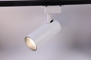 Светильник на штанге Эра  TR5-30 COB WH в Талице - talica.ok-mebel.com | фото 2