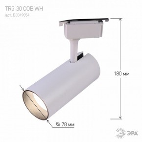 Светильник на штанге Эра  TR5-30 COB WH в Талице - talica.ok-mebel.com | фото 6
