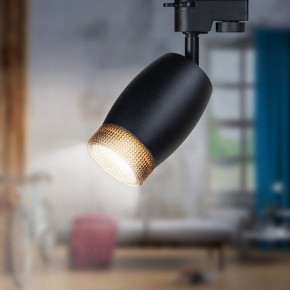 Светильник на штанге Эра  TR51 - GU10 BK в Талице - talica.ok-mebel.com | фото 2