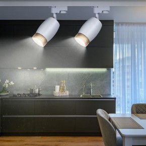Светильник на штанге Эра  TR51 - GU10 WH в Талице - talica.ok-mebel.com | фото 3