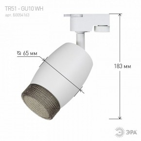 Светильник на штанге Эра  TR51 - GU10 WH в Талице - talica.ok-mebel.com | фото 4