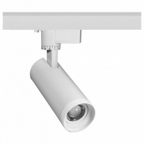 Светильник на штанге Эра  TR59 - 2030 WH в Талице - talica.ok-mebel.com | фото