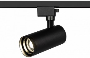 Светильник на штанге Эра  TR59 - 2040 BK в Талице - talica.ok-mebel.com | фото 5