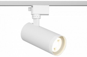 Светильник на штанге Эра  TR59 - 2040 WH в Талице - talica.ok-mebel.com | фото