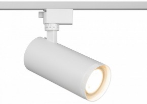 Светильник на штанге Эра  TR59 - 3030 WH в Талице - talica.ok-mebel.com | фото