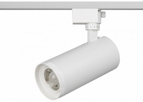Светильник на штанге Эра  TR59 - 3030 WH в Талице - talica.ok-mebel.com | фото 2