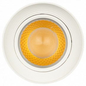 Светильник на штанге Эра  TR59 - 3030 WH в Талице - talica.ok-mebel.com | фото 3