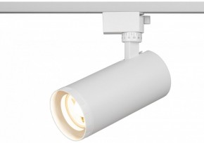 Светильник на штанге Эра  TR59 - 3030 WH в Талице - talica.ok-mebel.com | фото 5
