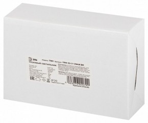 Светильник на штанге Эра  TRM-S5-3-12W4K-BK в Талице - talica.ok-mebel.com | фото 8