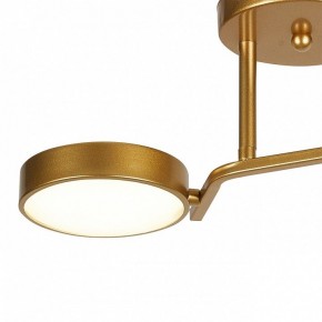 Светильник на штанге Escada Starlight 10273/2LED в Талице - talica.ok-mebel.com | фото 4