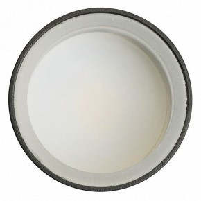 Светильник на штанге Feron ML1001 51371 в Талице - talica.ok-mebel.com | фото 4