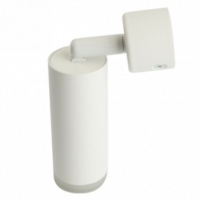 Светильник на штанге Feron ML1021 51390 в Талице - talica.ok-mebel.com | фото 3