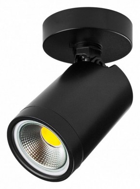 Светильник на штанге Lightstar Rullo 213407 в Талице - talica.ok-mebel.com | фото