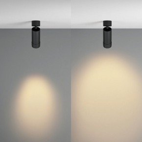 Светильник на штанге Maytoni Focus Zoom C055CL-L12W2.7K-Z-B в Талице - talica.ok-mebel.com | фото 3