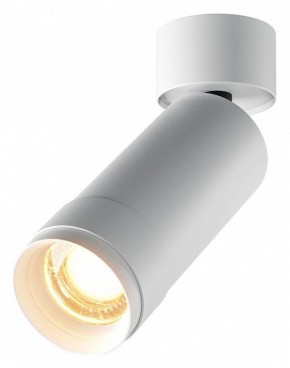 Светильник на штанге Maytoni Focus Zoom C055CL-L12W2.7K-Z-W в Талице - talica.ok-mebel.com | фото