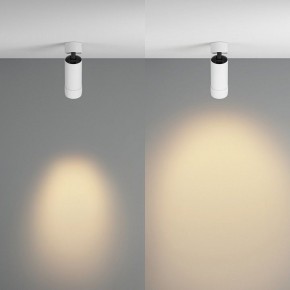 Светильник на штанге Maytoni Focus Zoom C055CL-L12W2.7K-Z-W в Талице - talica.ok-mebel.com | фото 3