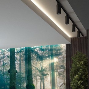 Светильник на штанге Novotech Dep 358593 в Талице - talica.ok-mebel.com | фото 4