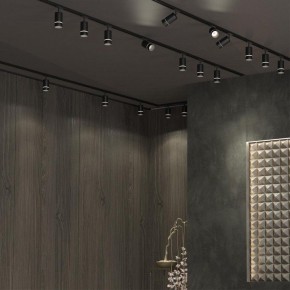 Светильник на штанге Novotech Elina 370777 в Талице - talica.ok-mebel.com | фото 4