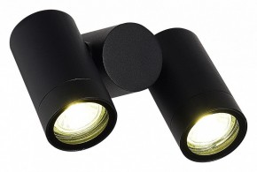 Светильник на штанге ST-Luce Ecollo SL9011.402.02 в Талице - talica.ok-mebel.com | фото 3