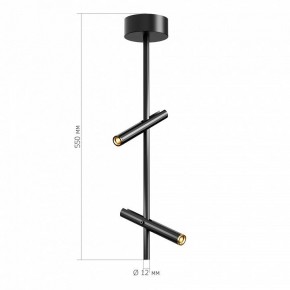 Светильник на штанге ST-Luce LILT SL6210.403.02 в Талице - talica.ok-mebel.com | фото 3
