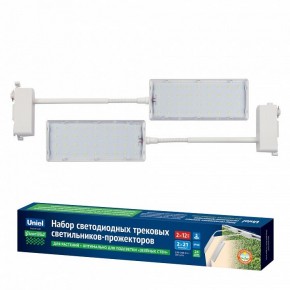 Светильник на штанге Uniel ULB-P37 UL-00012578 в Талице - talica.ok-mebel.com | фото 2