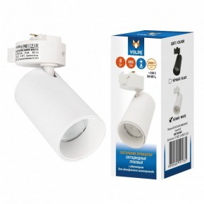 Светильник на штанге Volpe ULB-Q276 UL-00011817 в Талице - talica.ok-mebel.com | фото 2