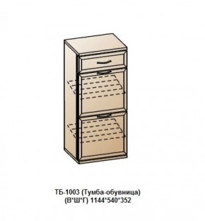 ТБ-1003 (Тумба-обувница) в Талице - talica.ok-mebel.com | фото