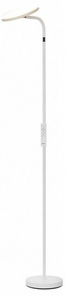 Торшер Citilux SOLO CL804060 в Талице - talica.ok-mebel.com | фото