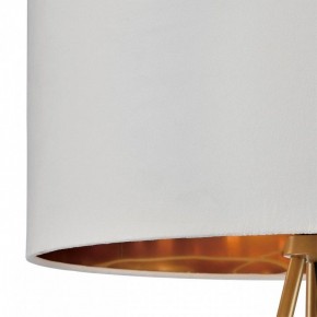 Торшер Lumion Tapioka 8077/1F в Талице - talica.ok-mebel.com | фото 6