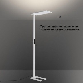 Торшер Novotech STUDI 359545 в Талице - talica.ok-mebel.com | фото 6