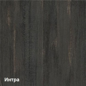 Трувор Шкаф 13.204.01 в Талице - talica.ok-mebel.com | фото 3