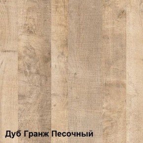 Трувор Шкаф 13.204.01 в Талице - talica.ok-mebel.com | фото 4