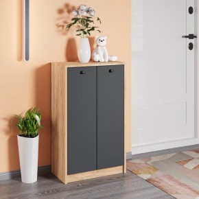 Тумба для обуви Рино в Талице - talica.ok-mebel.com | фото 3