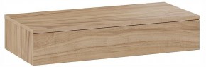 Тумбочка навесная ТД-102.08.02 в Талице - talica.ok-mebel.com | фото 3