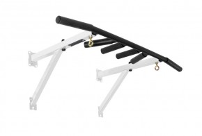 Турник настенный-наддверный ARS цв. белый-черный FLEXTER PROFI в Талице - talica.ok-mebel.com | фото