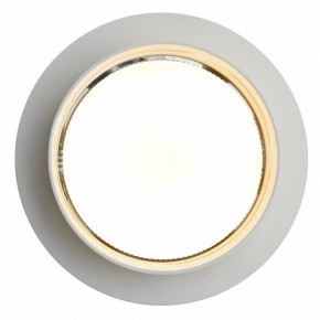 Встраиваемый светильник Feron DL502 51089 в Талице - talica.ok-mebel.com | фото 5