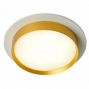 Встраиваемый светильник Feron DL507 51354 в Талице - talica.ok-mebel.com | фото 3