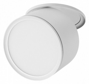 Встраиваемый светильник Lightstar Acuto 215856 в Талице - talica.ok-mebel.com | фото