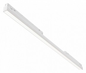 Встраиваемый светильник Maytoni Basis TR030-4-30WTW-DD2-W в Талице - talica.ok-mebel.com | фото